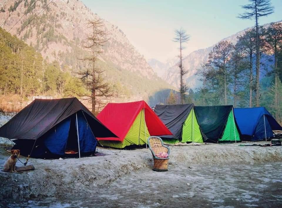 Stayhigh Camps & Cottages Kasol Exteriör bild