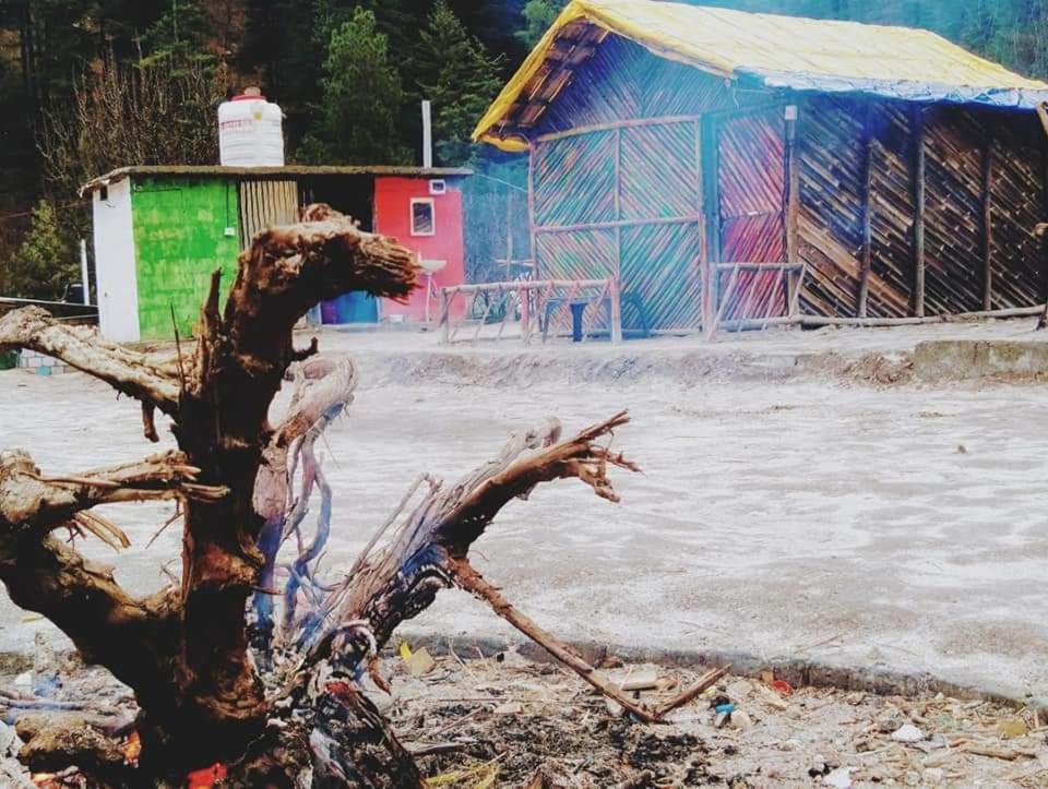 Stayhigh Camps & Cottages Kasol Exteriör bild