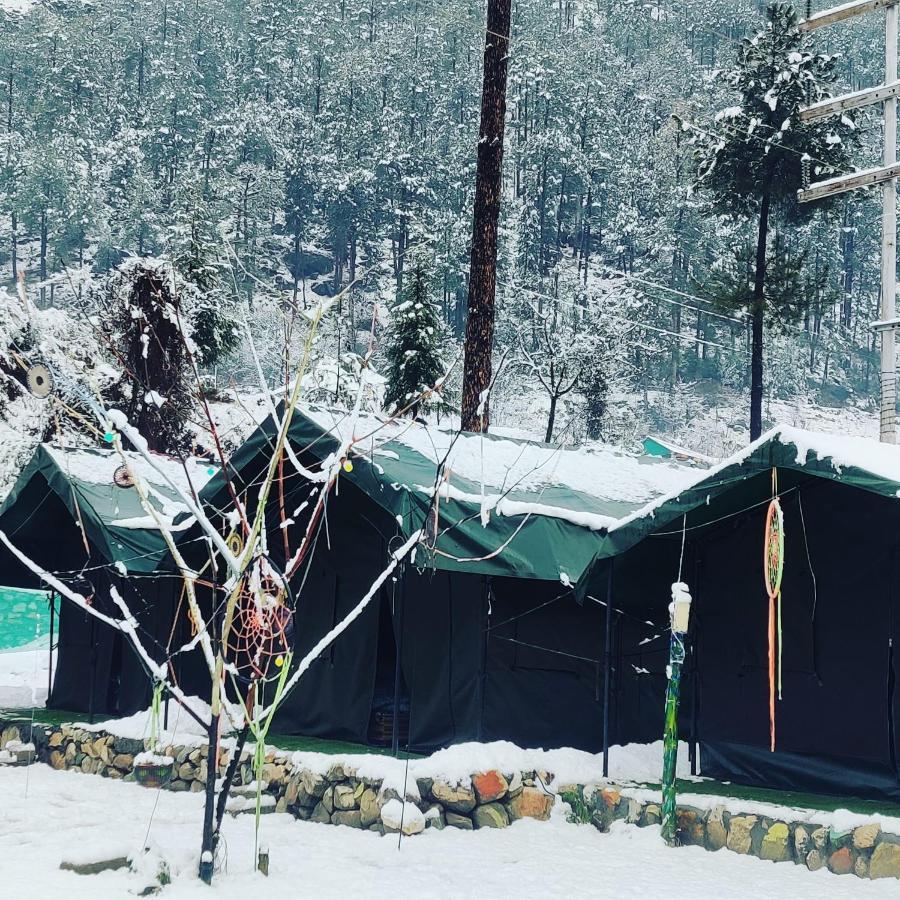 Stayhigh Camps & Cottages Kasol Exteriör bild