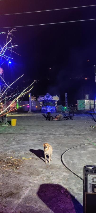 Stayhigh Camps & Cottages Kasol Exteriör bild